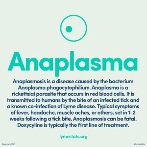 88_anaplasma316x316_2x
